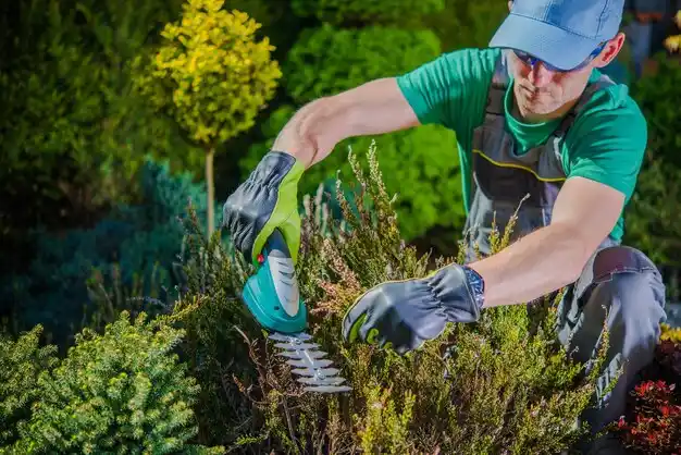 landscaping services Ecru